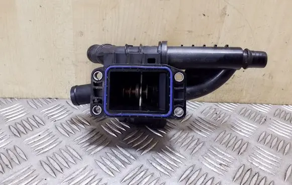 Thermostat/thermostat housing