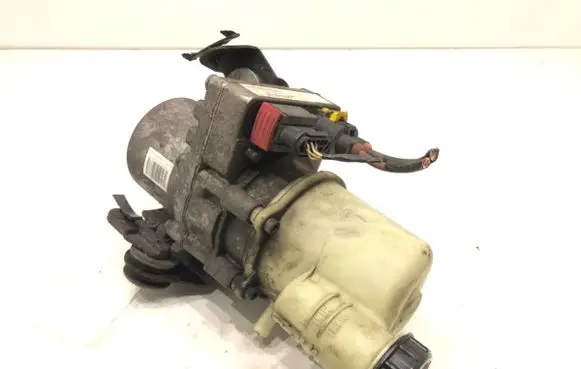 Dacia Duster II Power steering pump 491100032R