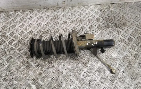 Ford C-MAX II Front shock absorber/damper AV6118K001AAE