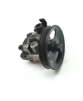 Hyundai Terracan Power steering pump