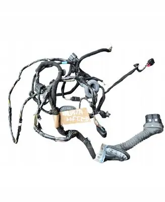 Front door wiring loom
