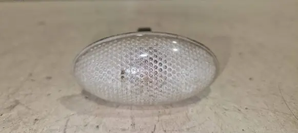 Front fender indicator light
