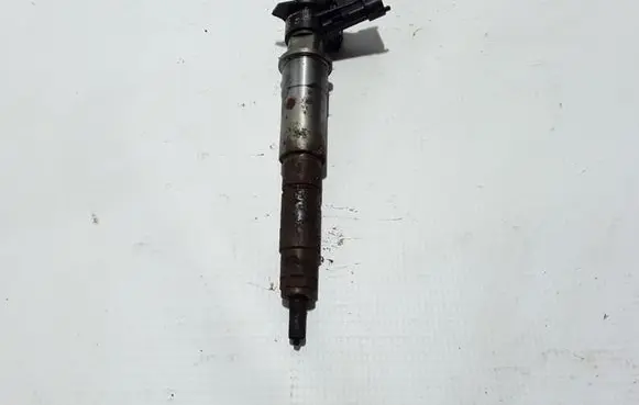 Renault Latitude (L70) Fuel injector 7701478969
