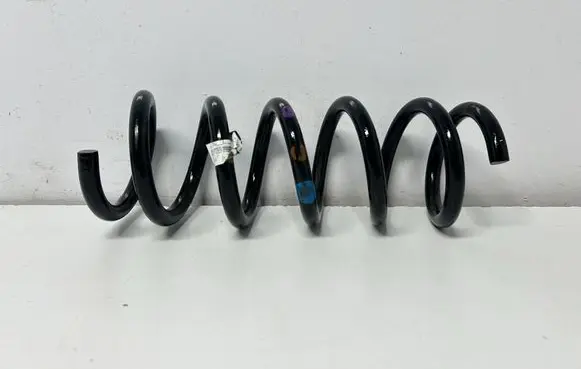 Jaguar F-Pace Rear shock absorber with coil spring L8A2553ACB
