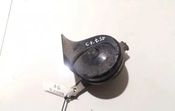 Rover 45 Horn signal