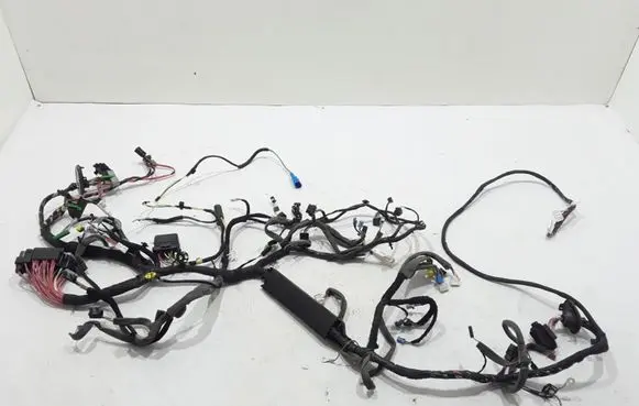Renault Scenic III - Grand scenic III Panel wiring 240180729R