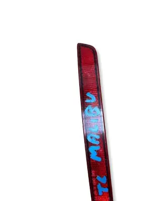 Chevrolet Malibu Rear tail light reflector GM25919041 00072228