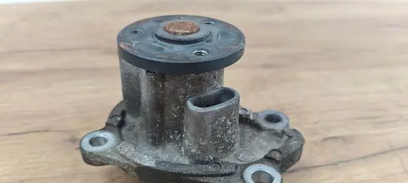 Dacia Lodgy Water pump 210106094R