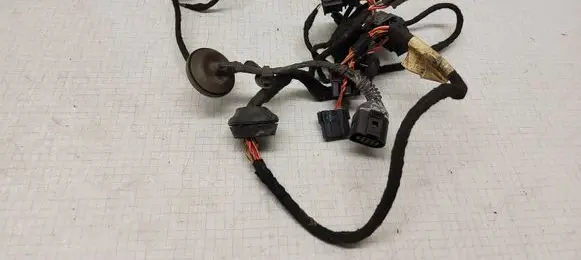 Volkswagen PASSAT B5.5 Front door wiring loom 3B0971121BA 103138102
