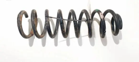 Renault Scenic II - Grand scenic II Rear coil spring