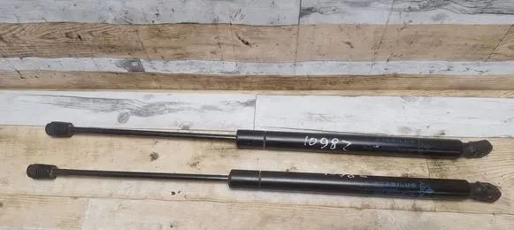 Dodge Journey Tailgate/trunk strut/damper 05178293AC
