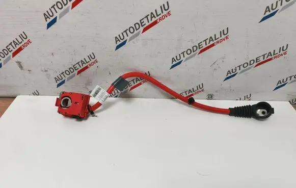 BMW 6 F06 Gran coupe Positive cable (battery) 9217036 61129217036