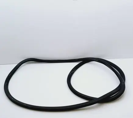 Audi A4 S4 B6 8E 8H Front door rubber seal