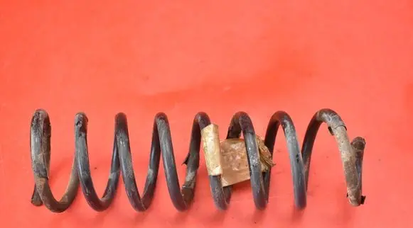 Rear coil spring