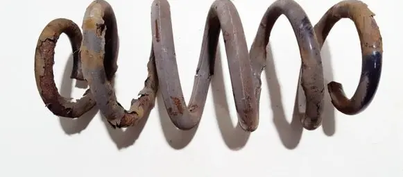 Toyota RAV 4 (XA30) Rear coil spring