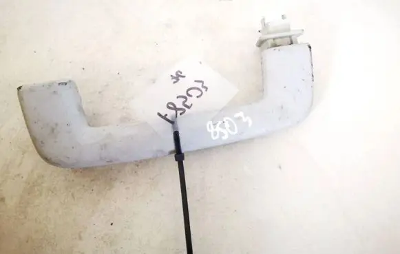 Ford S-MAX Front interior roof grab handle