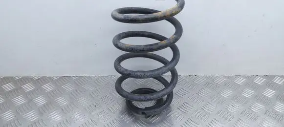 Rear coil spring