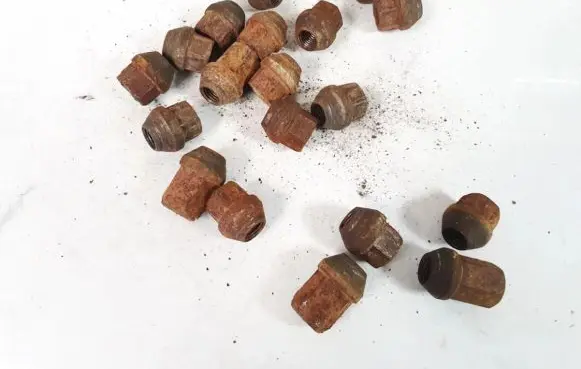 Nuts/bolts