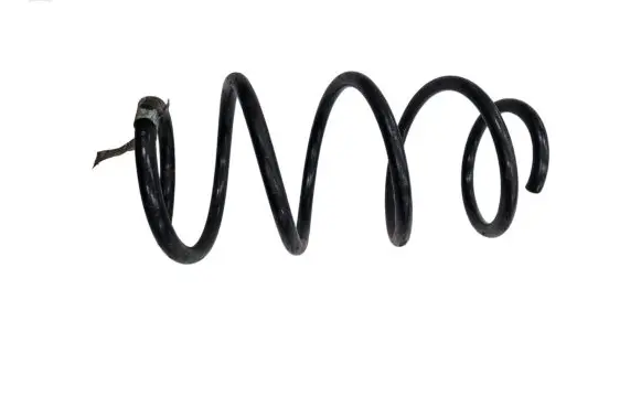 Ford Mustang VI Front coil spring FR3C5310AE