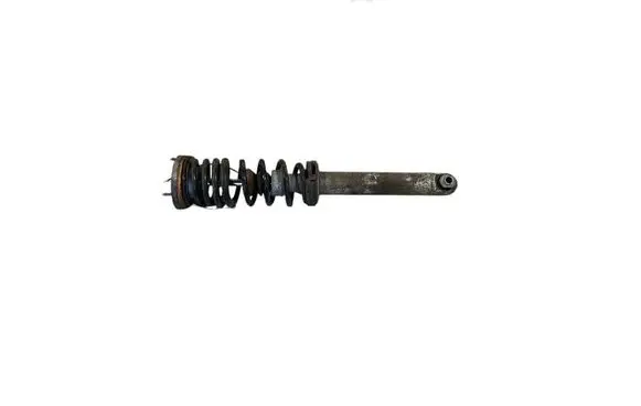 BMW M5 Rear shock absorber with coil spring 7850117