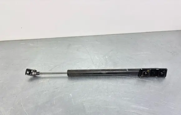 BMW 7 F01 F02 F03 F04 Rear door check strap stopper 7177648