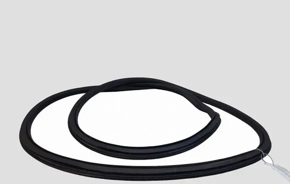 Opel Insignia A Front door rubber seal
