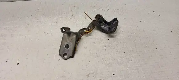 Subaru Outback Rear door hinge set 