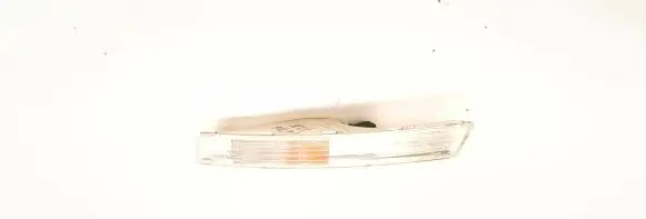Volkswagen PASSAT B6 Front indicator light 3C0953041E