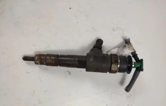 Citroen C3 Fuel injector 0445110739 137227