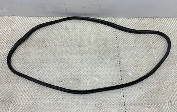 Fiat Tipo Rubber seal front door (on door) 