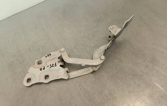 BMW X3 F25 Engine bonnet/hood hinges 7210730
