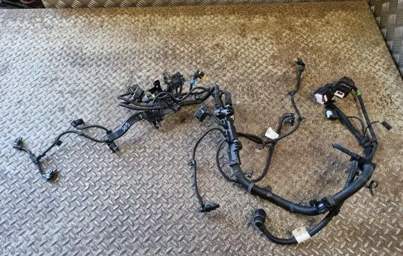 BMW 3 G20 G21 Engine installation wiring loom 5A01D59 8482365 8482366