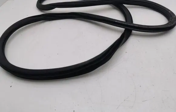 Rear door rubber seal (on body)