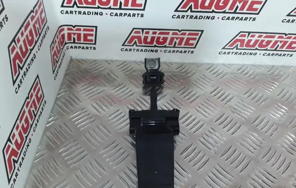 Rear door check strap stopper