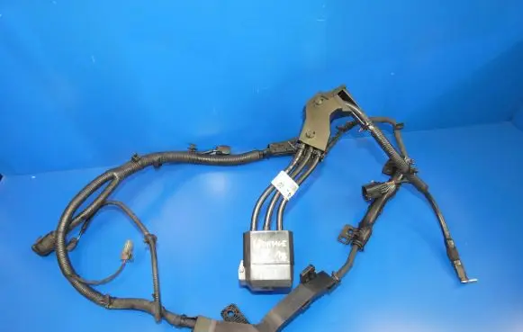 KIA Sportage Positive wiring loom 91850-F1410 1802 BATTU11
