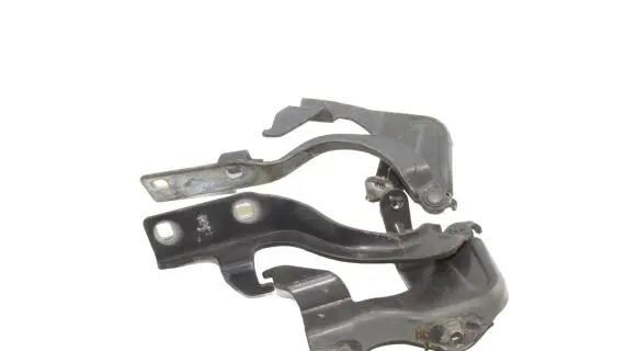 Opel Antara Engine bonnet/hood hinges