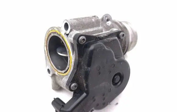 Renault Megane IV Throttle valve 161A03415R