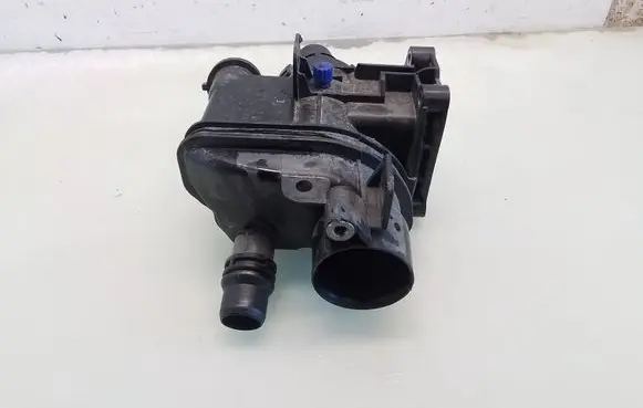 Thermostat/thermostat housing