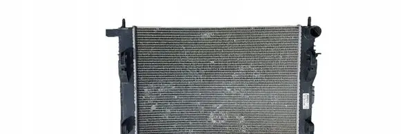 Dacia Sandero Coolant radiator 214104684R