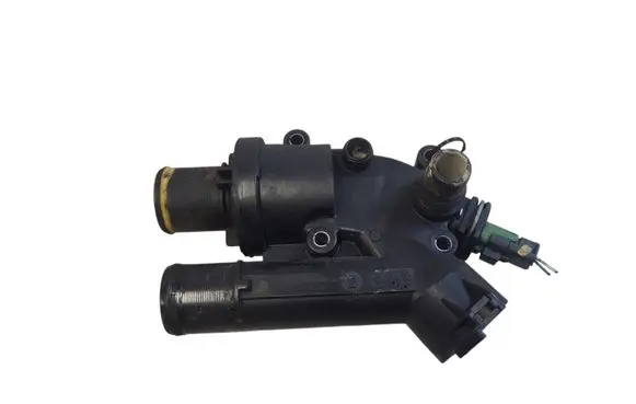 Thermostat/thermostat housing