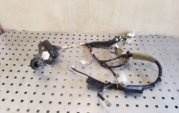 Toyota Land Cruiser (J120) Front door wiring loom 8215260390