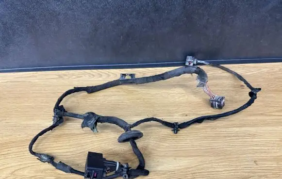 Rear door wiring loom