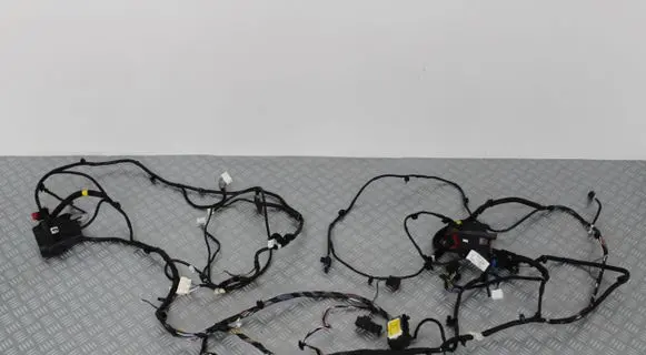 Renault Kangoo II Parking sensor (PDC) wiring loom