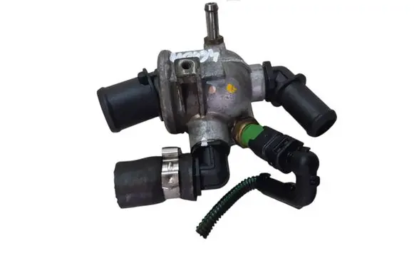 Thermostat/thermostat housing