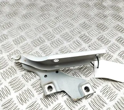 Volkswagen PASSAT B8 Engine bonnet/hood hinges 3G0823302