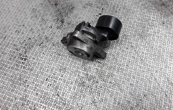 Renault Espace - Grand espace IV Alternator belt tensioner 0802410121