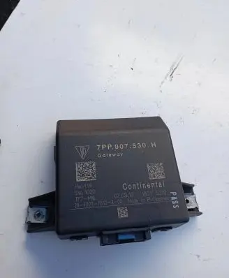 Porsche Cayenne (92A) Gateway control module 7PP907530H 1B015319 2840277012300