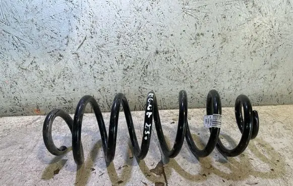 Rear coil spring
