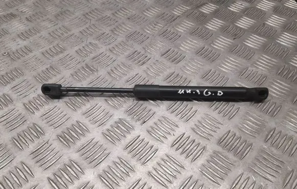 Ford Mustang VI Tailgate/trunk strut/damper FR3B63406A10BB