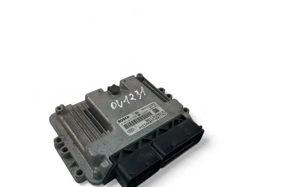 KIA Ceed Engine control unit/module 391132A510 0281016570